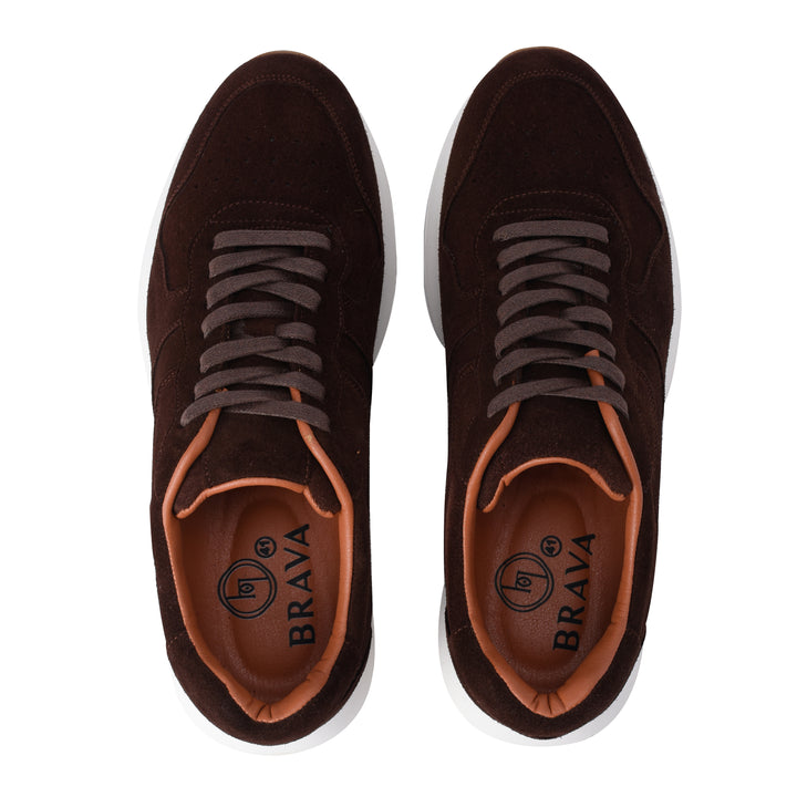 Brava Brown Brogue Suede Sneaker - Buy1 Get1