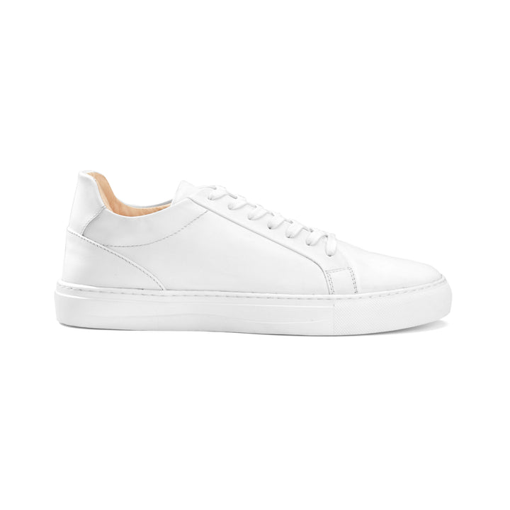 Brava White Sneakers